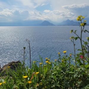 Meet your Posher, Jay